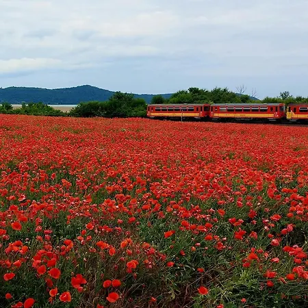 Orsolya Vendeghaz * Balatonudvari